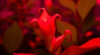 far red light induces flowering
