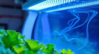 hydroponic uv c sterilization safety