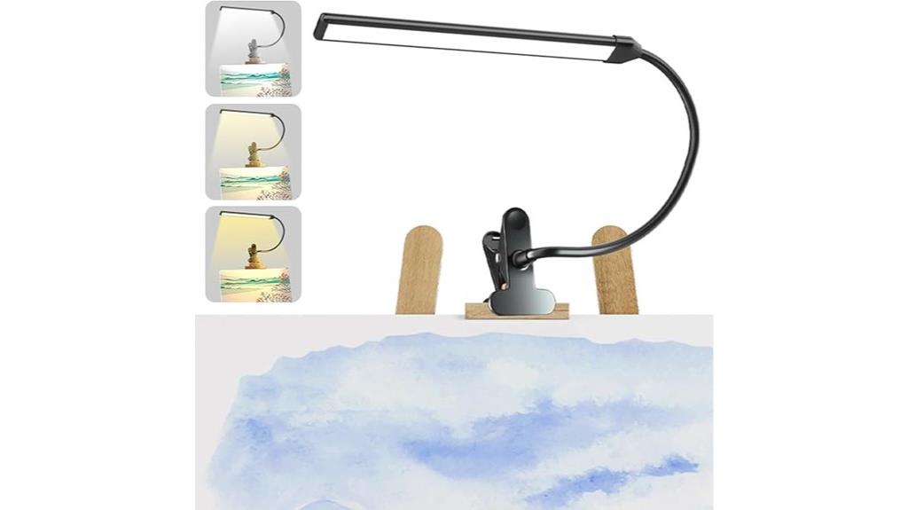 adjustable clip on light