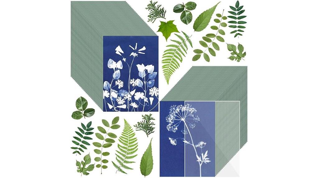 cyanotype sun print kit