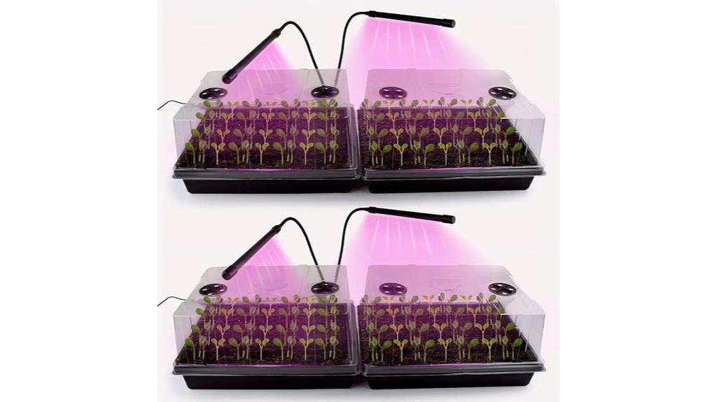 four pack seed trays