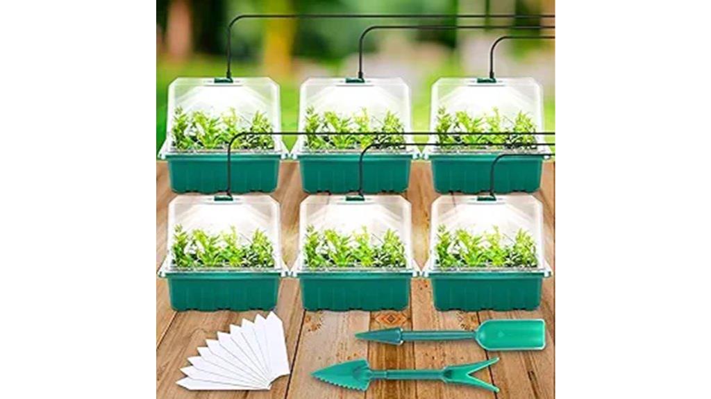 six pack seed trays