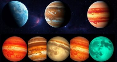 top planetary filter sets