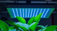 top quantum board grow lights