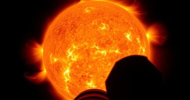 top solar telescope filters