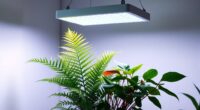 automated indoor plant illumination