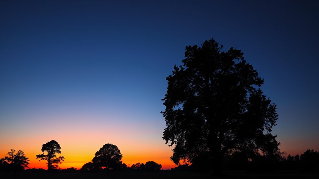 colors shift in dusk