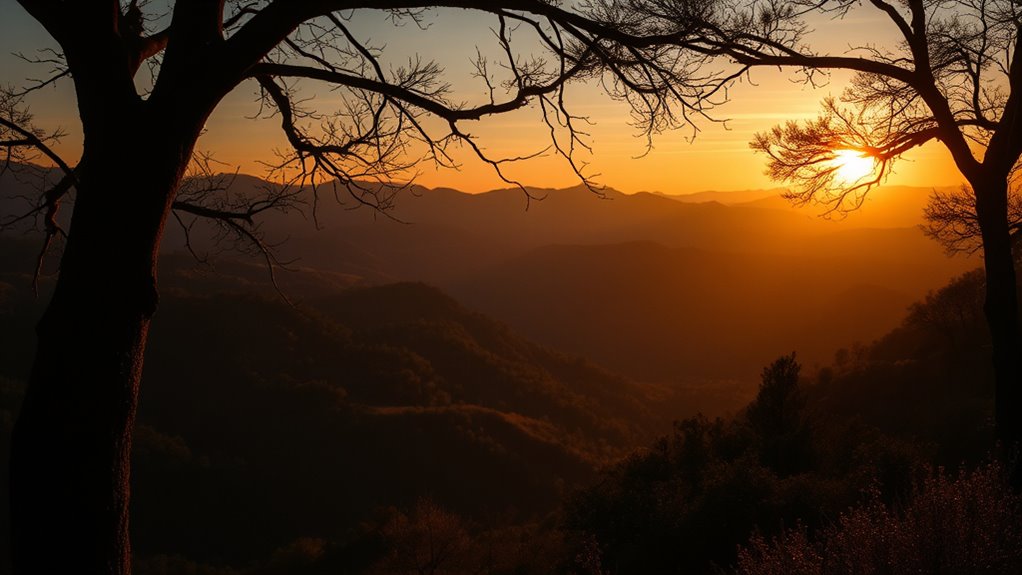 master subtle tonal enhancements