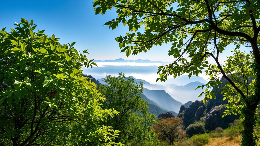 raw offers greater editing flexibility