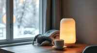winter mood light therapy