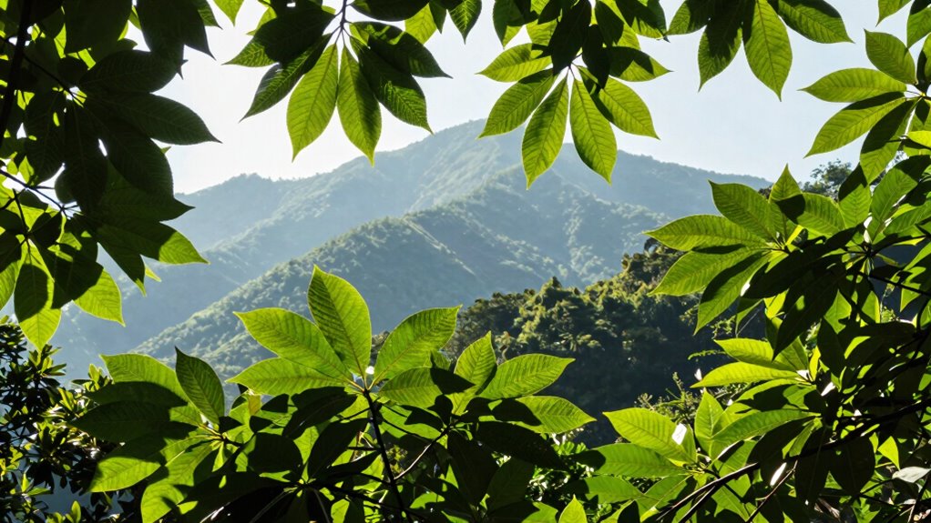 color contrast depth mastery