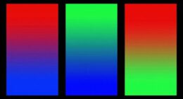 color gamut comparison overview