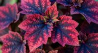 color spectrum adjustment