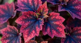 color spectrum adjustment