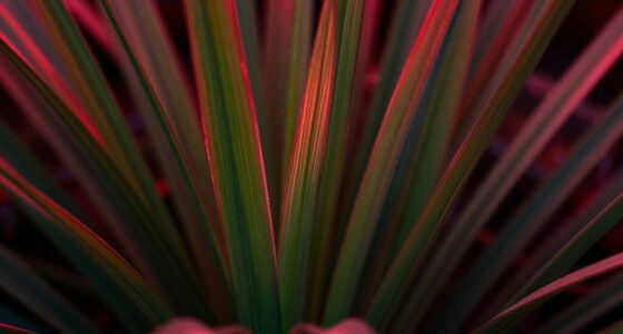 far red light influences plant morphology