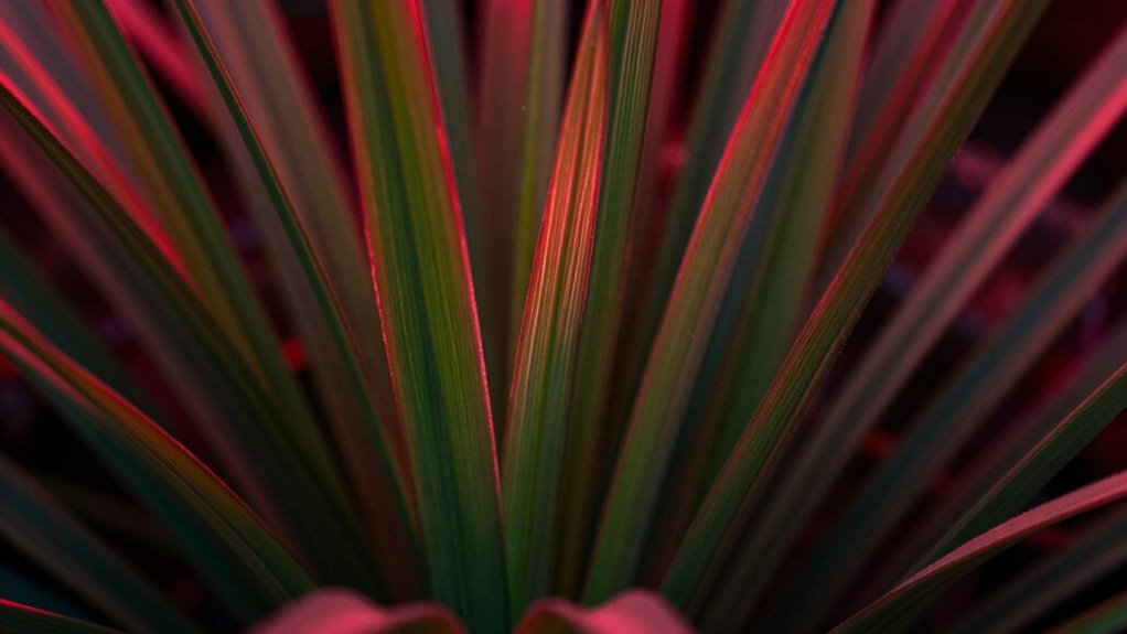 far red light influences plant morphology