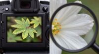 focus accuracy comparison methods