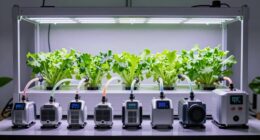 hydroponic air pump guide