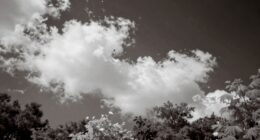 infrared effects on skin