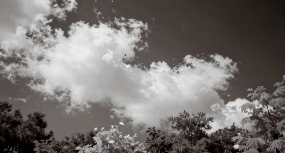 infrared effects on skin