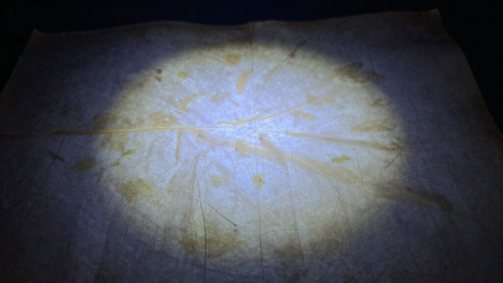 protect art from uv damage