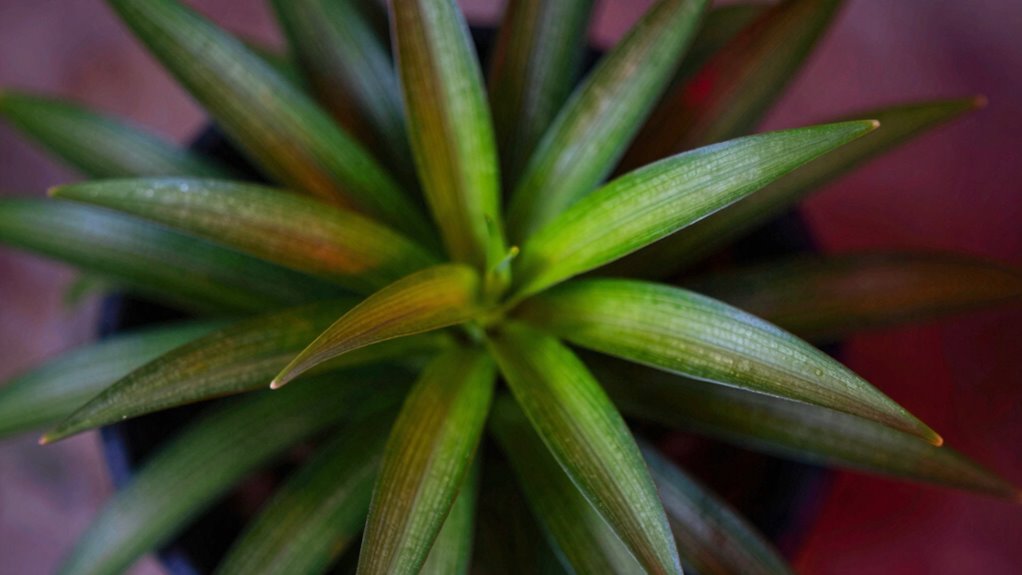 smart adaptive far red lighting