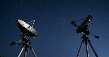 telescope mount comparison choices