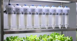 top hydroponic ro systems