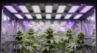 top led grow lights