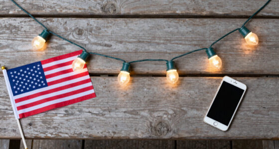 14 Best Patriotic LED String Lights for Fourth of July Decorating in 2026