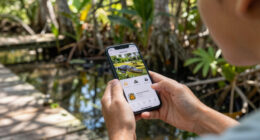 Alligators injure three, one fatally, in string of attacks in Florida