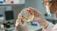 New bacterial species discovered in NASA's cleanrooms