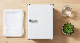 3 Best Bathroom Mini Fridges in 2026