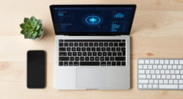 How To Ensure Frontier Cyber AI Models Are Managed By Trusted Experts