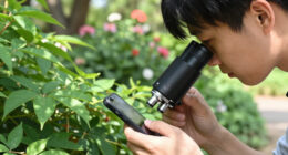 13 Best Microscopes For Photography In 2026